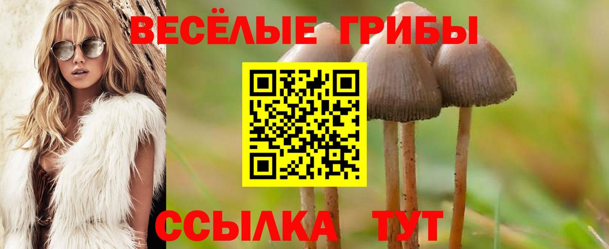 Псилоцибиновые грибы MAGIC MUSHROOMS  Галлюциногенные грибы Psilocybine cubensis  Вход с VPN  Аксай 